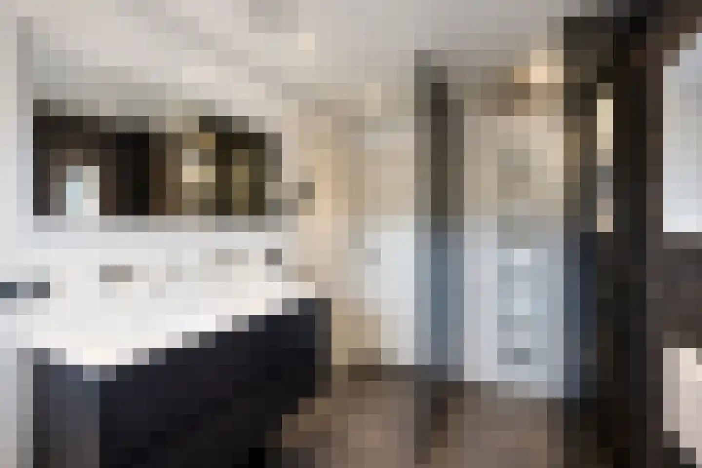 Meester van Ekstraat 1 Haulerwijk thumbnail 35