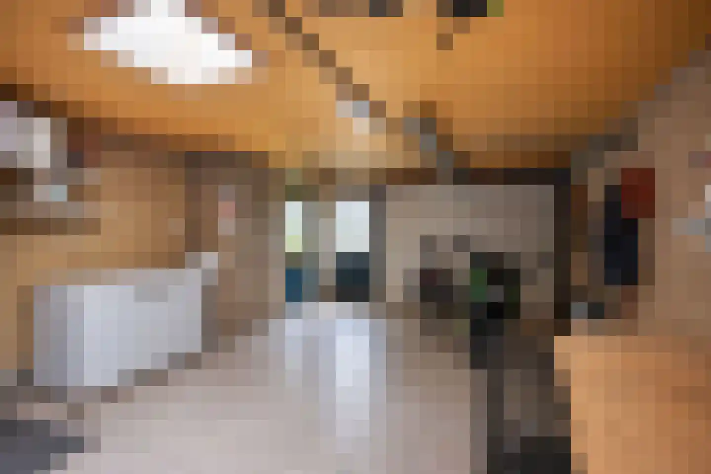 Meester van Ekstraat 1 Haulerwijk thumbnail 37