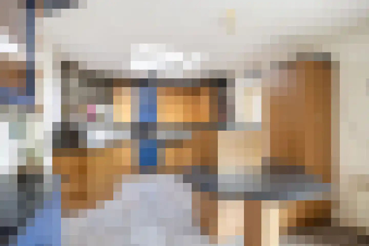 Meester van Ekstraat 1 Haulerwijk thumbnail 4