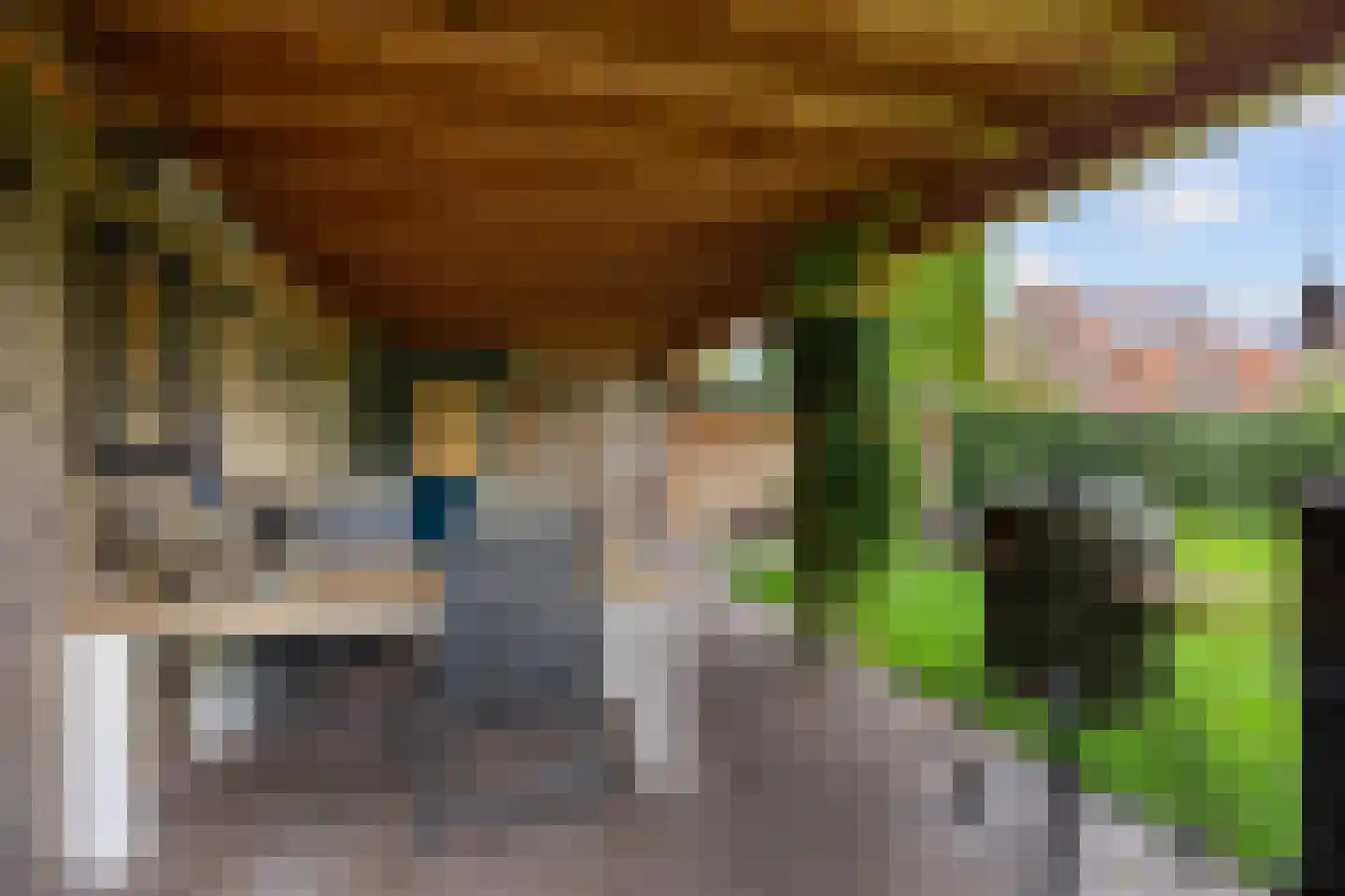 Meester van Ekstraat 1 Haulerwijk thumbnail 42