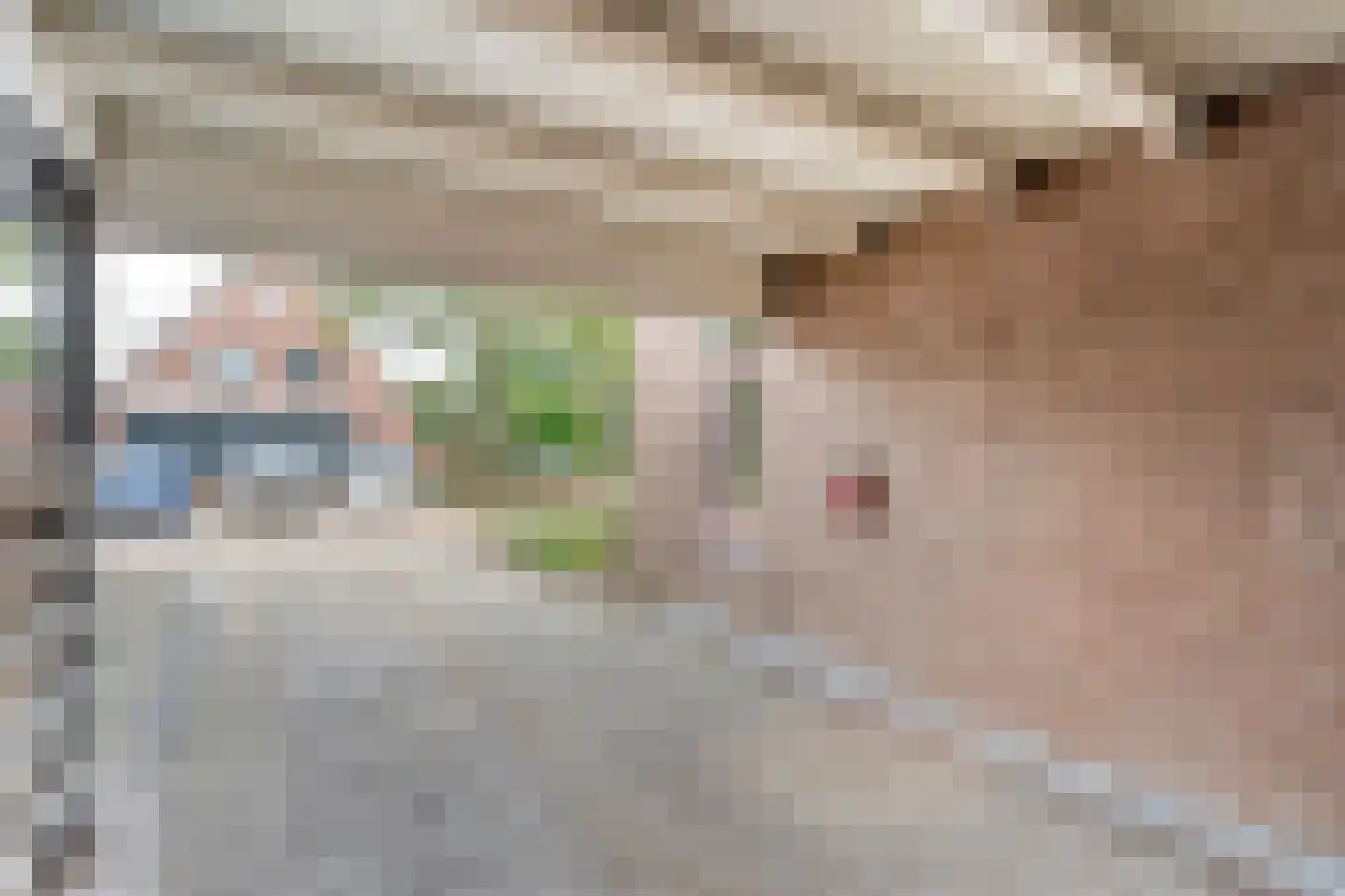 Meester van Engbrinkstraat 11 Bruchterveld thumbnail 11