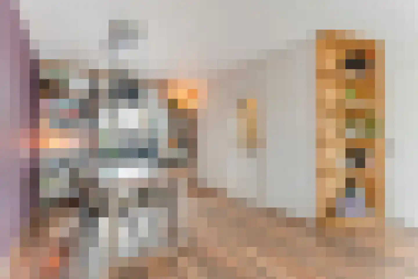 Meester van Engbrinkstraat 11 Bruchterveld thumbnail 19