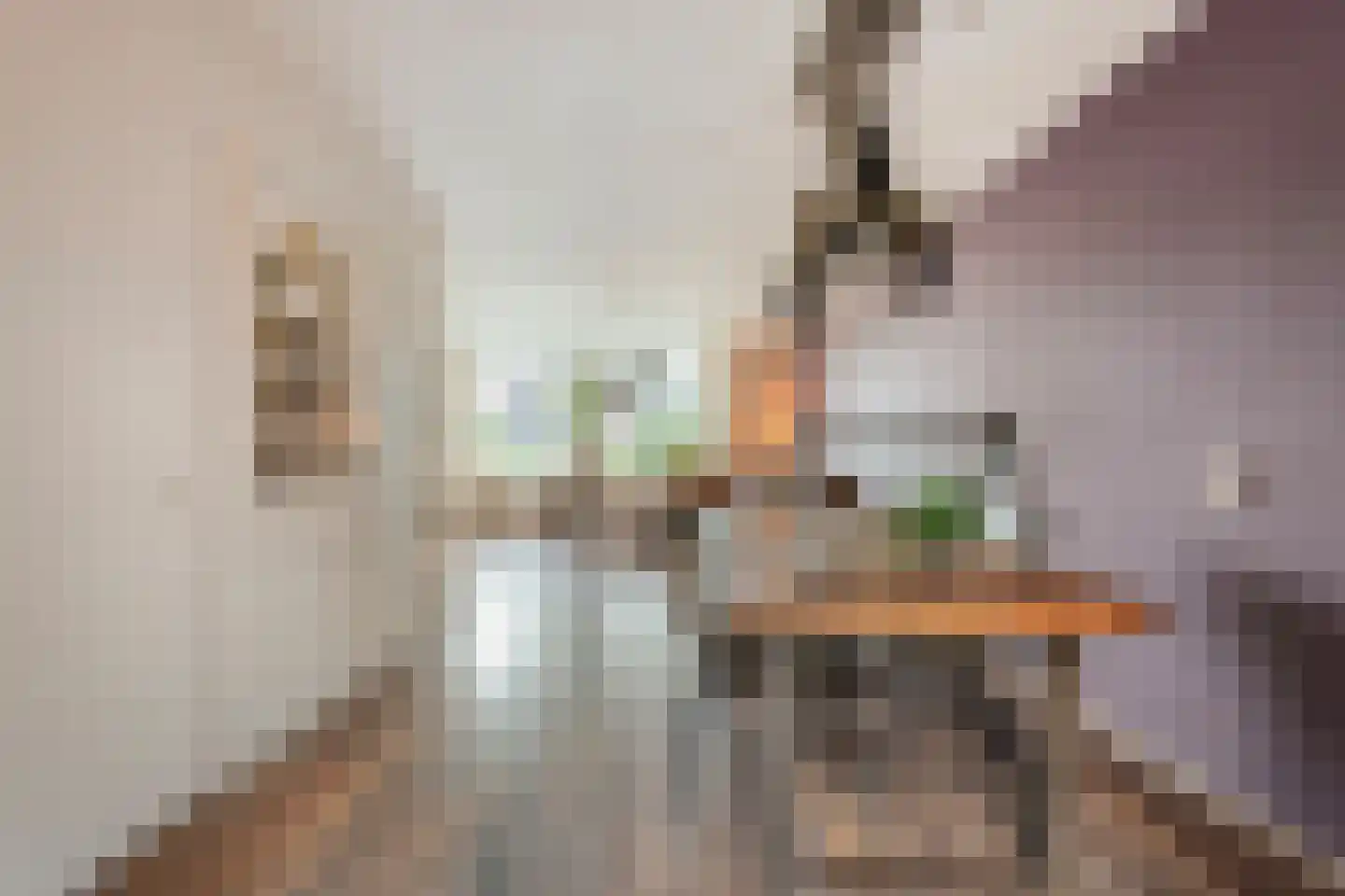 Meester van Engbrinkstraat 11 Bruchterveld thumbnail 21