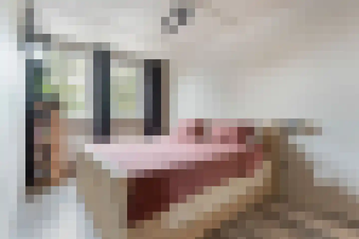 Meester van Engbrinkstraat 11 Bruchterveld thumbnail 35