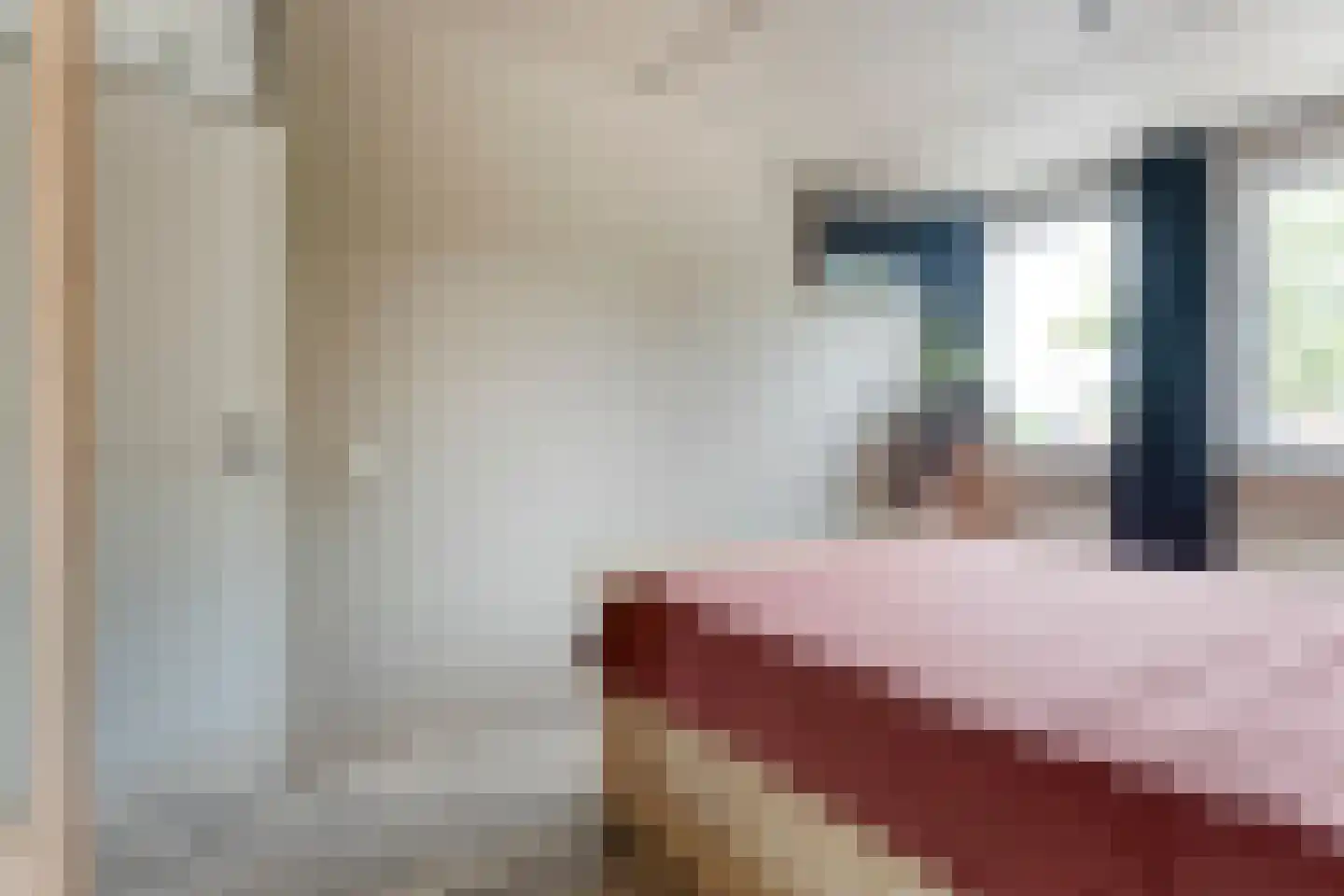 Meester van Engbrinkstraat 11 Bruchterveld thumbnail 37