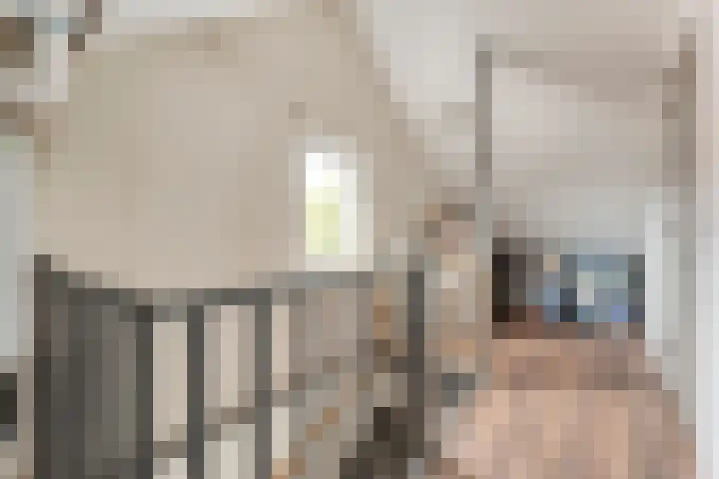 Meester van Engbrinkstraat 11 Bruchterveld thumbnail 47