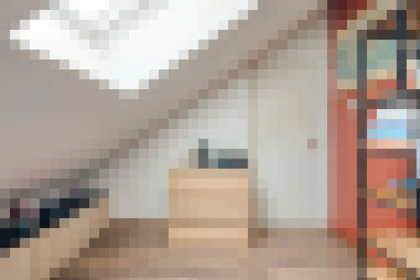 Meester van Engbrinkstraat 11 Bruchterveld thumbnail 53