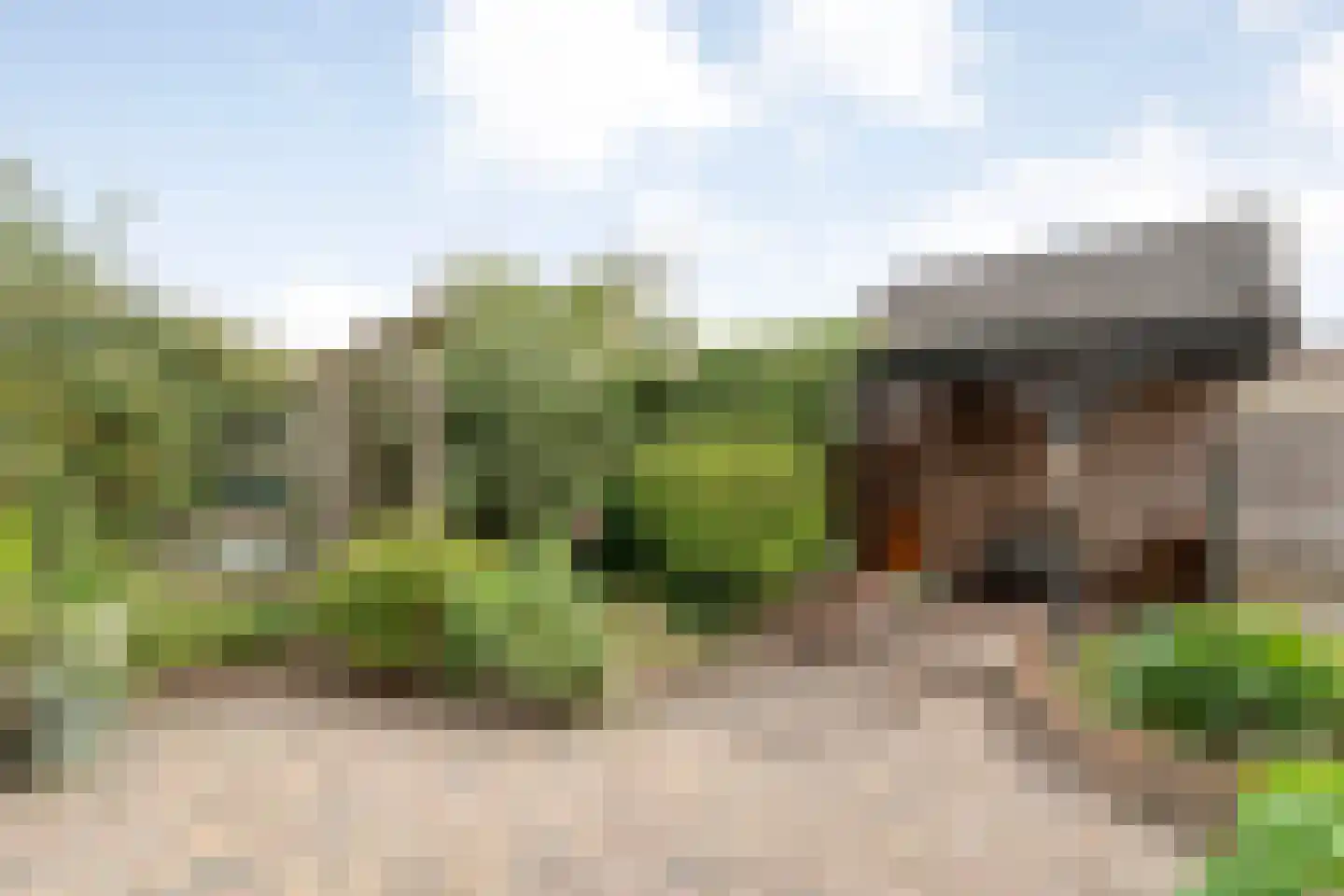 Meester van Engbrinkstraat 11 Bruchterveld thumbnail 54