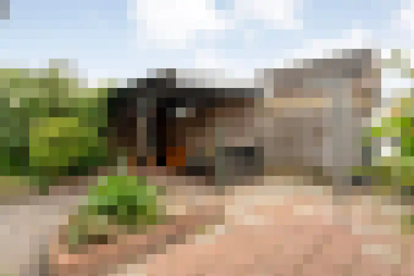 Meester van Engbrinkstraat 11 Bruchterveld thumbnail 58