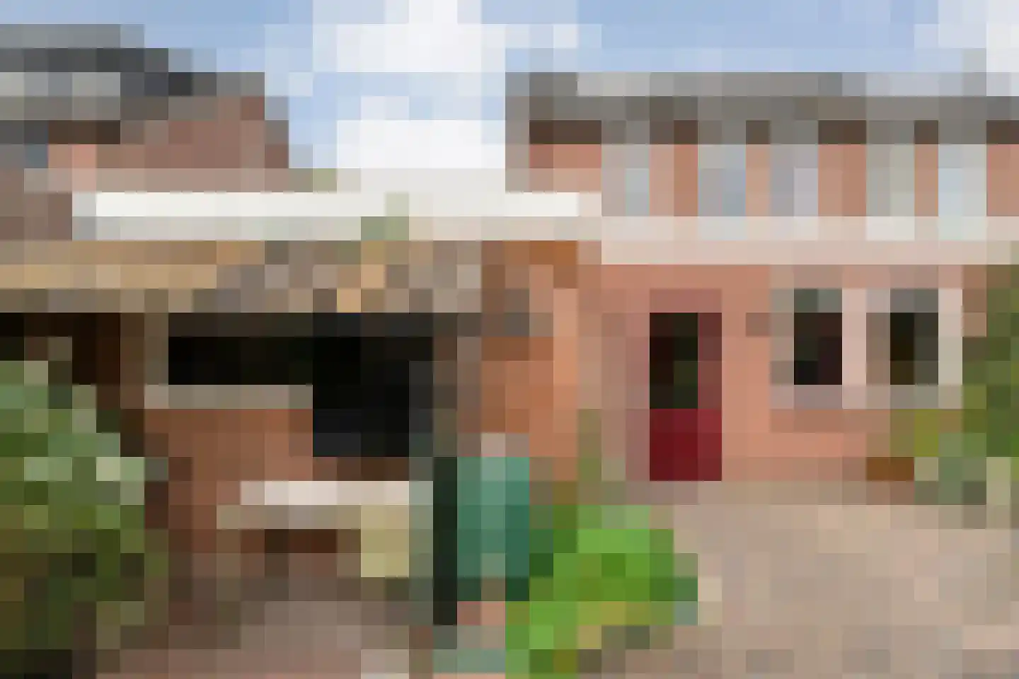 Meester van Engbrinkstraat 11 Bruchterveld thumbnail 60
