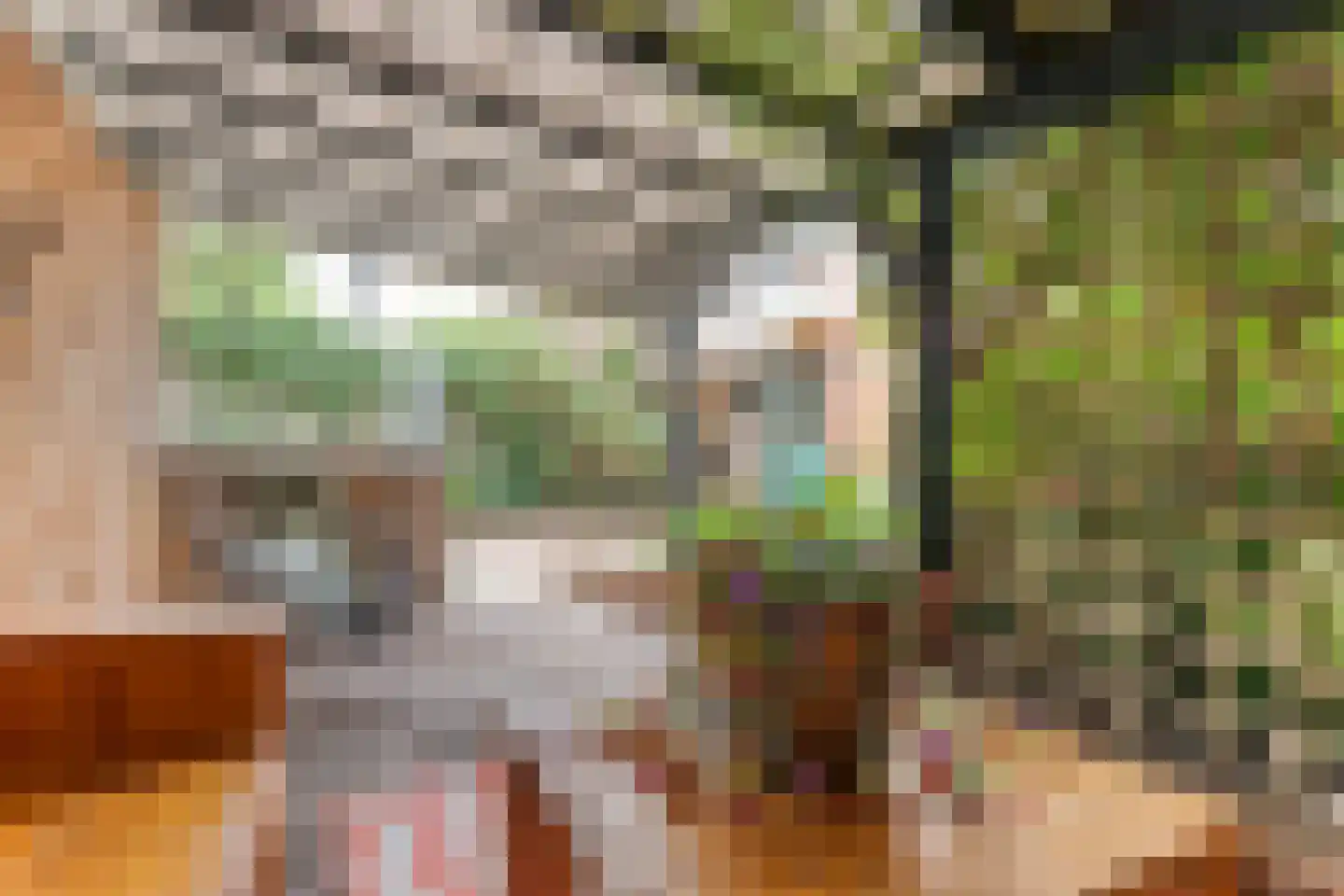 Meester van Engbrinkstraat 11 Bruchterveld thumbnail 63