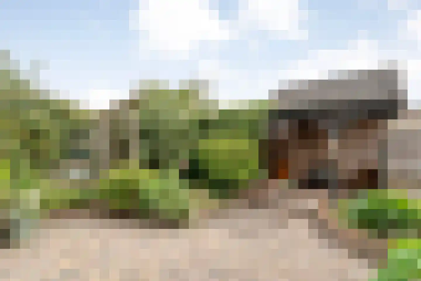 Meester van Engbrinkstraat 11 Bruchterveld thumbnail 9