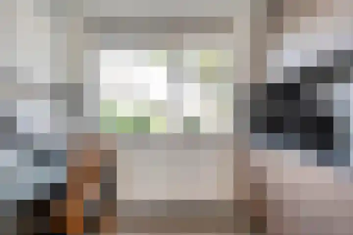 Meester van Engbrinkstraat 12 Bruchterveld thumbnail 11