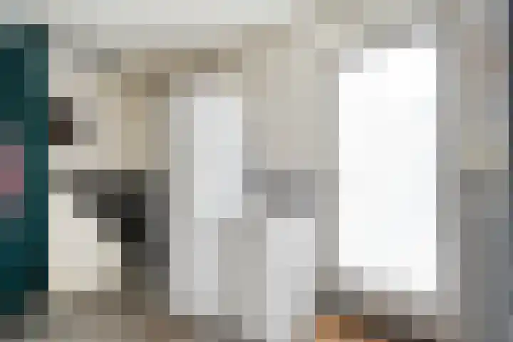 Meester van Engbrinkstraat 12 Bruchterveld thumbnail 16