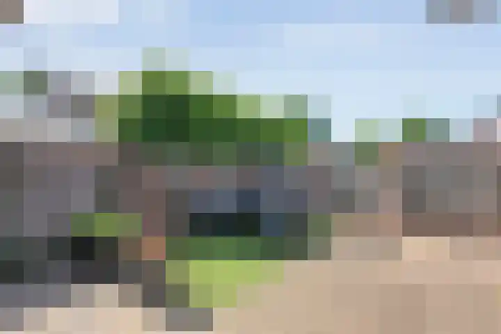 Meester van Engbrinkstraat 12 Bruchterveld thumbnail 33
