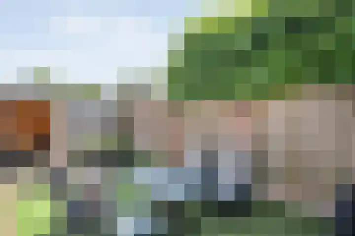 Meester van Engbrinkstraat 12 Bruchterveld thumbnail 36