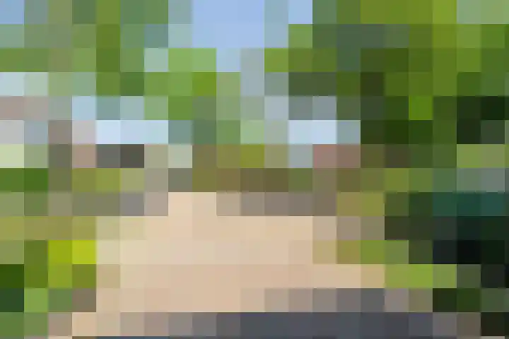 Meester van Engbrinkstraat 12 Bruchterveld thumbnail 41