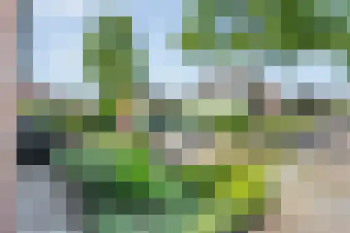 Meester van Engbrinkstraat 12 Bruchterveld thumbnail 42