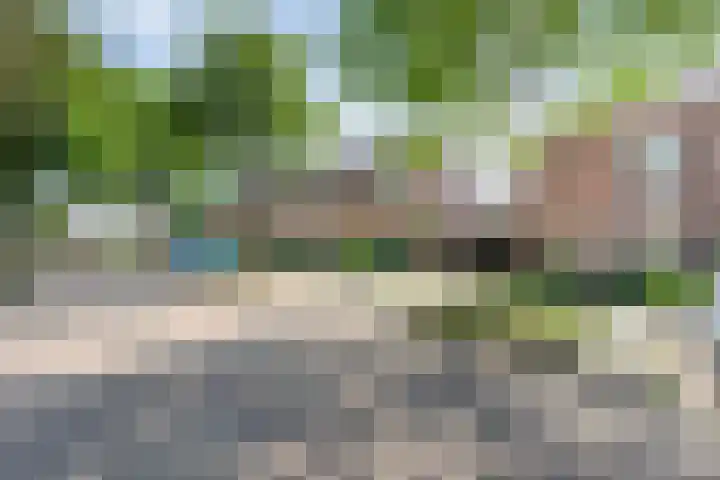 Meester van Engbrinkstraat 12 Bruchterveld thumbnail 43