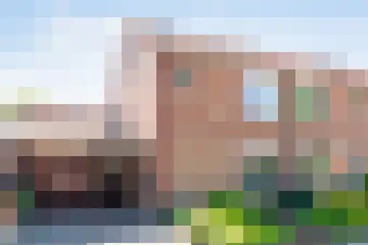 Meester van Engbrinkstraat 12 Bruchterveld thumbnail 49