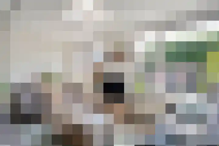 Meester van Engbrinkstraat 12 Bruchterveld thumbnail 6