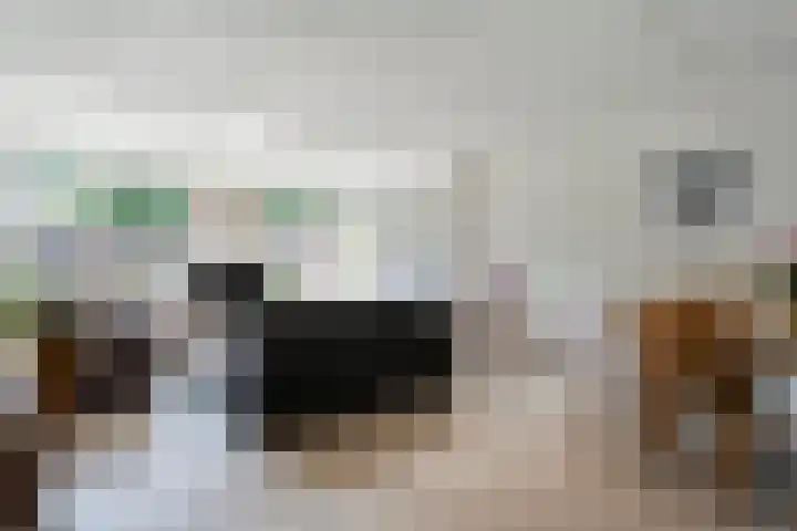 Meester van Engbrinkstraat 12 Bruchterveld thumbnail 9