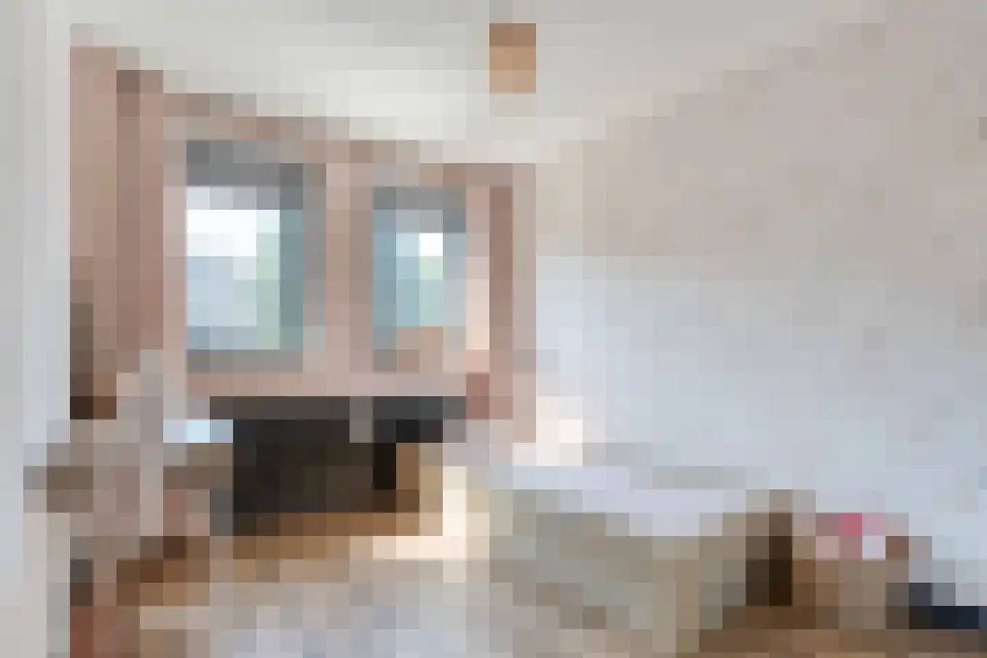 Meester van Engbrinkstraat 22 Bruchterveld thumbnail 24