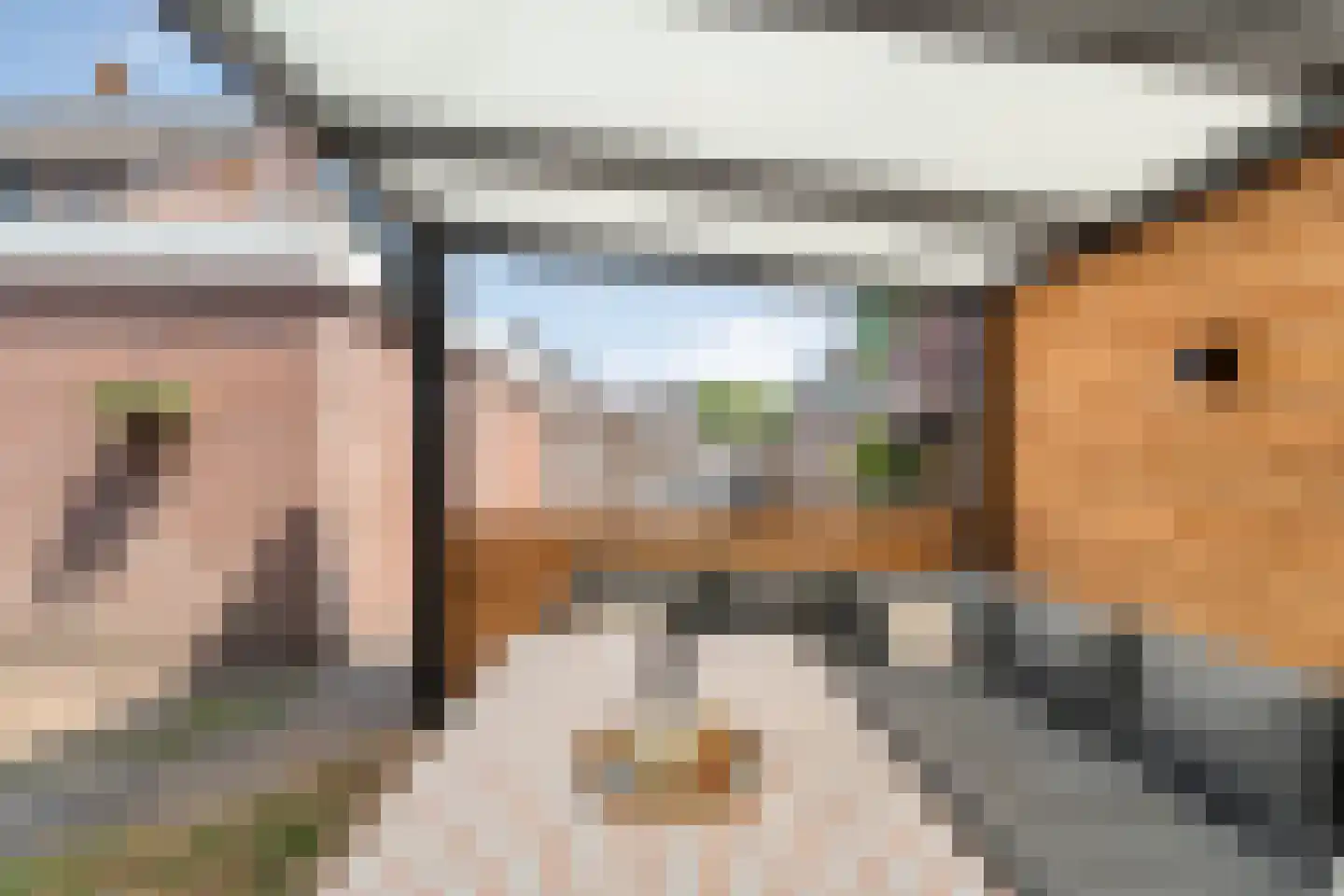 Meester van Engbrinkstraat 22 Bruchterveld thumbnail 45