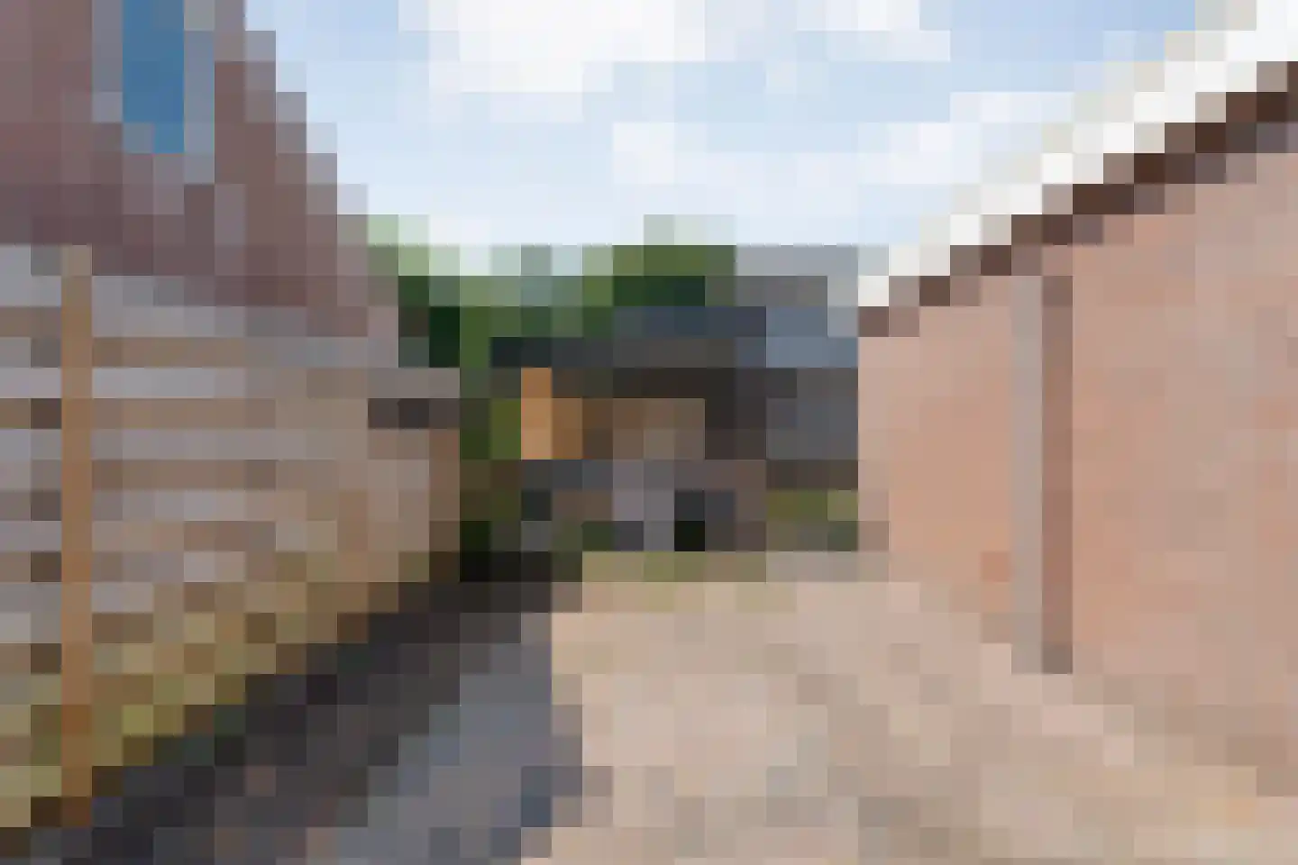 Meester van Engbrinkstraat 22 Bruchterveld thumbnail 47