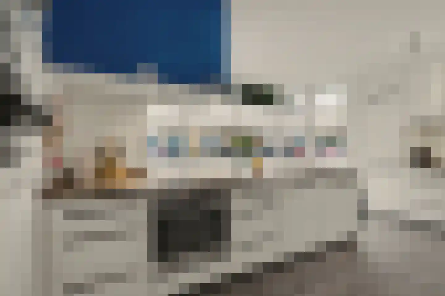 Meester van Goerlestraat 11 's-Hertogenbosch thumbnail 18