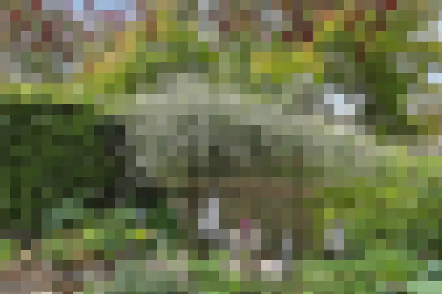 Meester van Goerlestraat 11 's-Hertogenbosch thumbnail 36