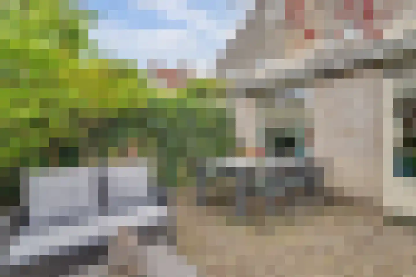 Meester van Goerlestraat 11 's-Hertogenbosch thumbnail 37