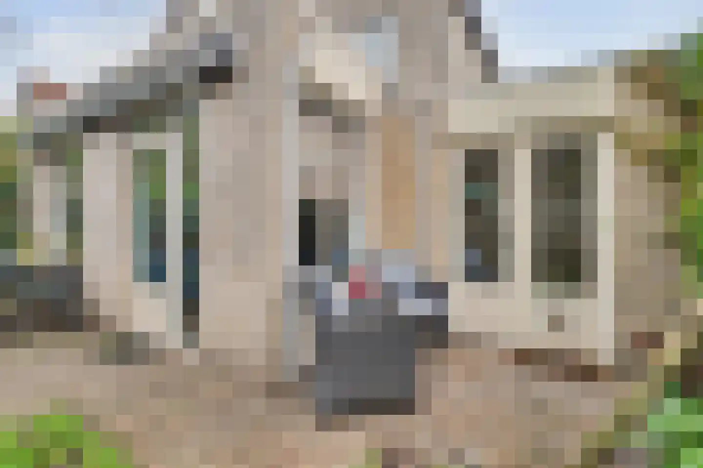 Meester van Goerlestraat 11 's-Hertogenbosch thumbnail 38