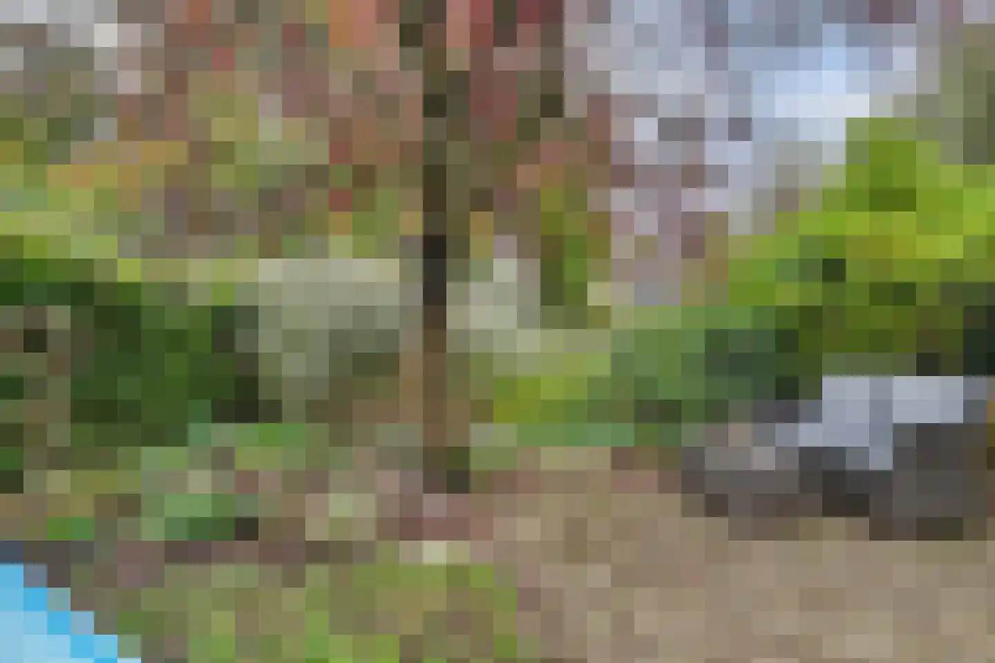 Meester van Goerlestraat 11 's-Hertogenbosch thumbnail 39