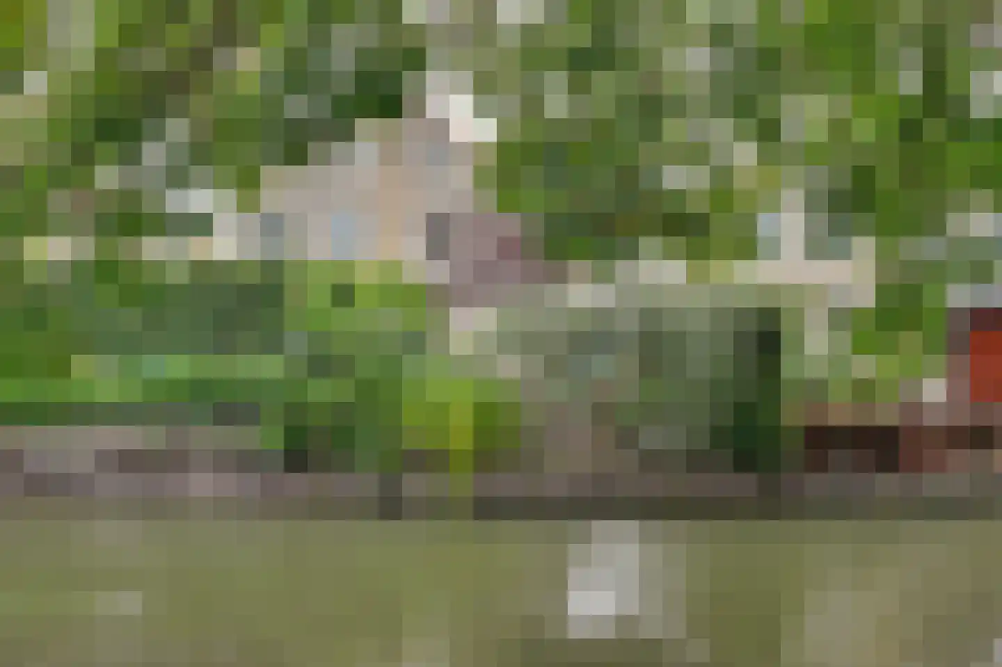Meester van Goerlestraat 11 's-Hertogenbosch thumbnail 41