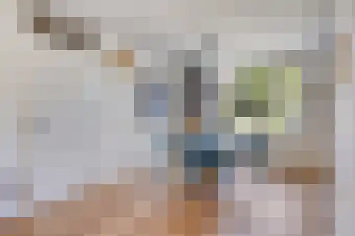 Meester van Goerlestraat 14 's-Hertogenbosch thumbnail 10