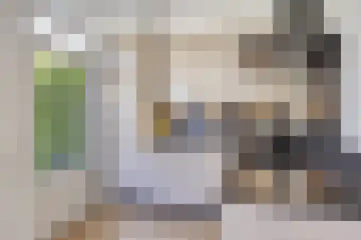 Meester van Goerlestraat 14 's-Hertogenbosch thumbnail 14