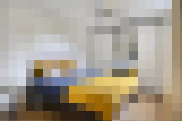 Meester van Goerlestraat 14 's-Hertogenbosch thumbnail 15