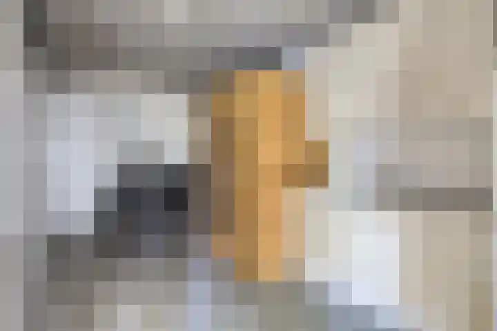 Meester van Goerlestraat 14 's-Hertogenbosch thumbnail 19