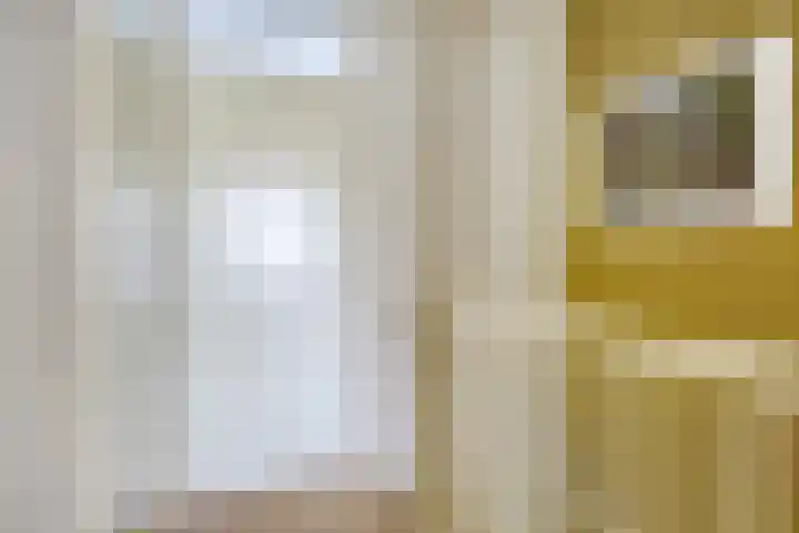Meester van Goerlestraat 14 's-Hertogenbosch thumbnail 20