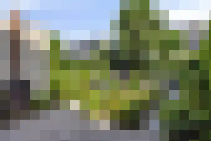 Meester van Goerlestraat 14 's-Hertogenbosch thumbnail 26