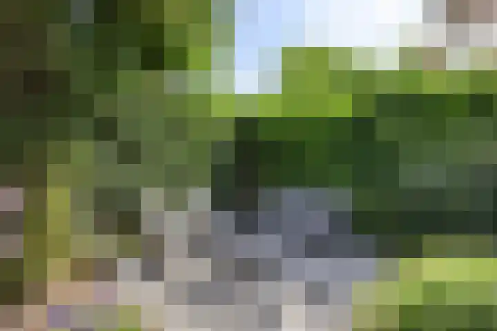 Meester van Goerlestraat 14 's-Hertogenbosch thumbnail 27