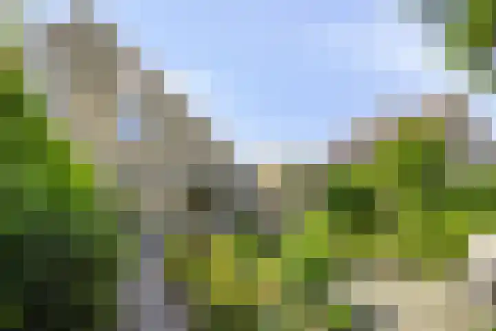 Meester van Goerlestraat 14 's-Hertogenbosch thumbnail 28