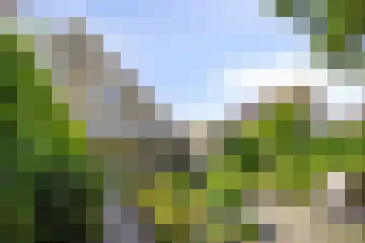 Meester van Goerlestraat 14 's-Hertogenbosch thumbnail 29