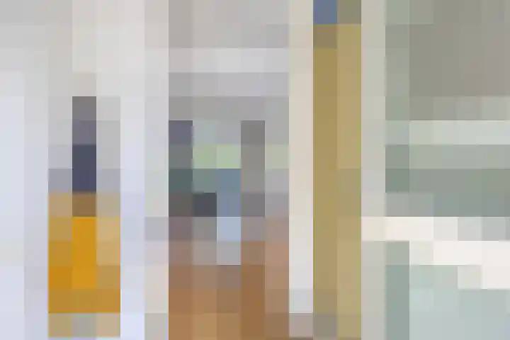 Meester van Goerlestraat 14 's-Hertogenbosch thumbnail 6