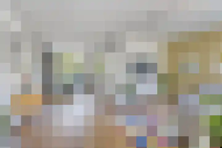 Meester van Goerlestraat 14 's-Hertogenbosch thumbnail 7