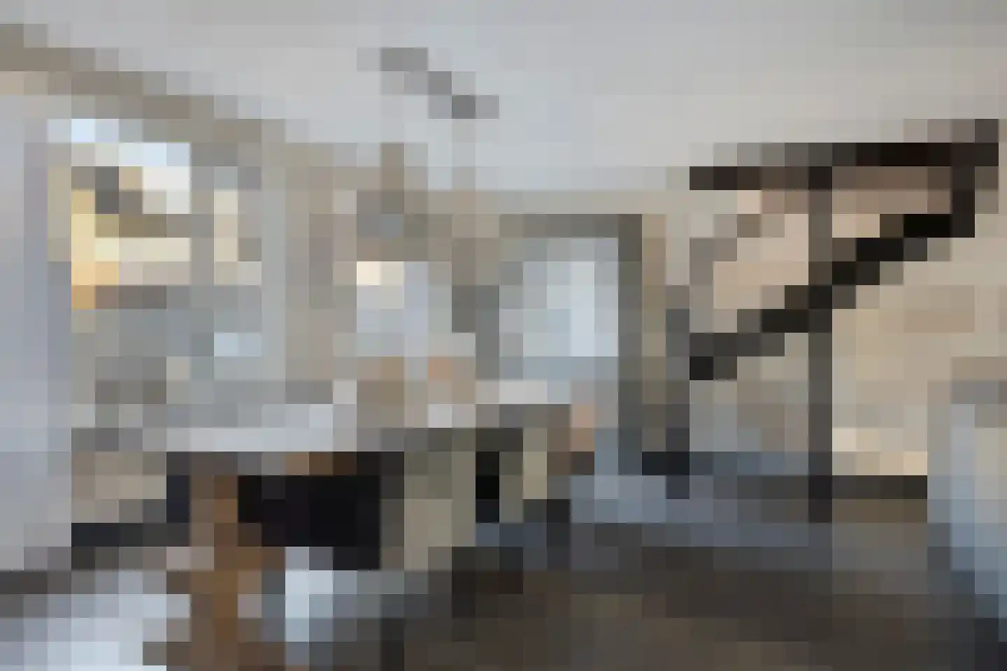 Meester van Goerlestraat 6 's-Hertogenbosch thumbnail 15