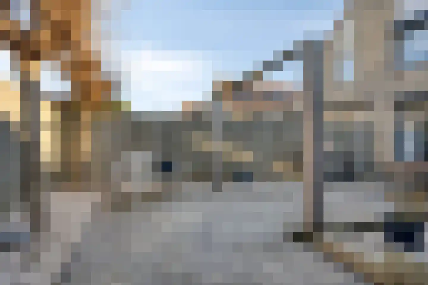 Meester van Goerlestraat 6 's-Hertogenbosch thumbnail 26