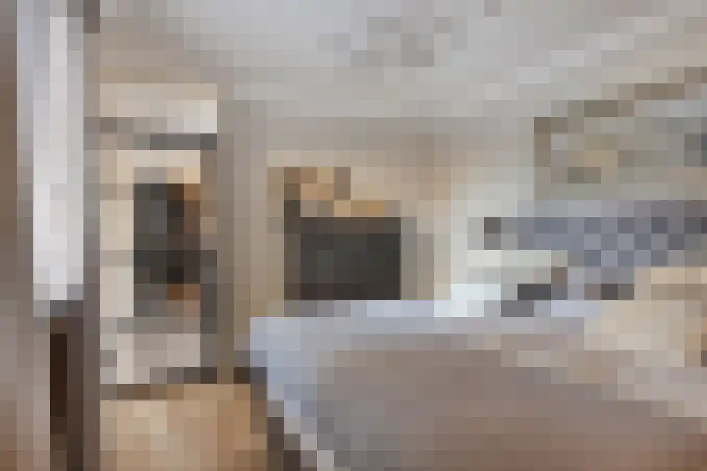 Meester van Goerlestraat 6 's-Hertogenbosch thumbnail 34