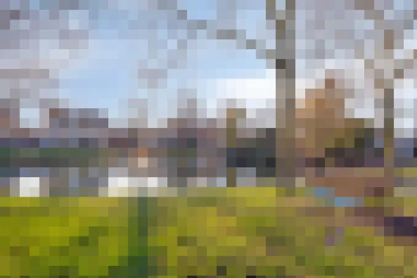 Meester van Goerlestraat 6 's-Hertogenbosch thumbnail 60